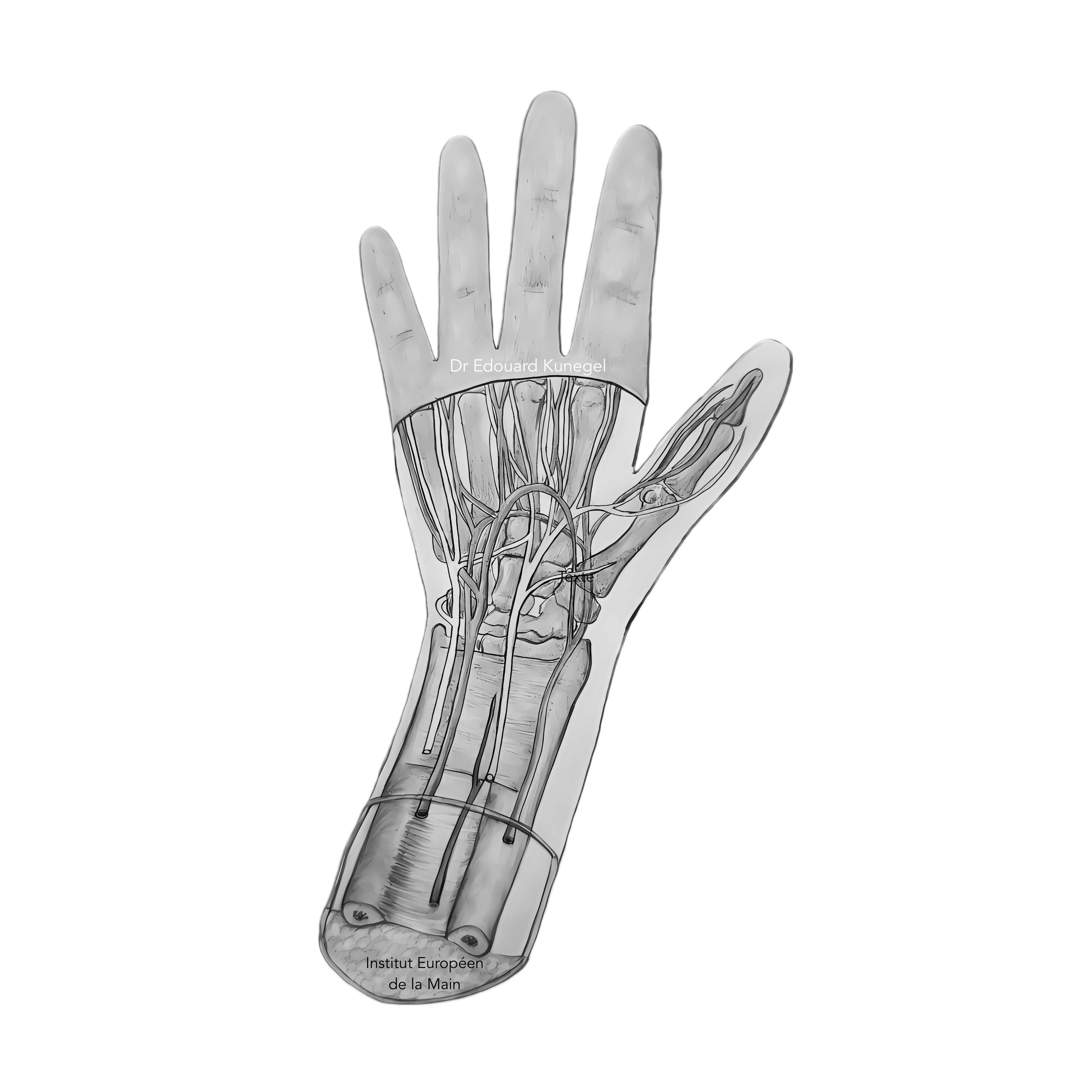 Dessin main - Dr Edouard Kunegel IEM